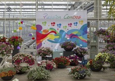 Passion Combos van Westhoff. 